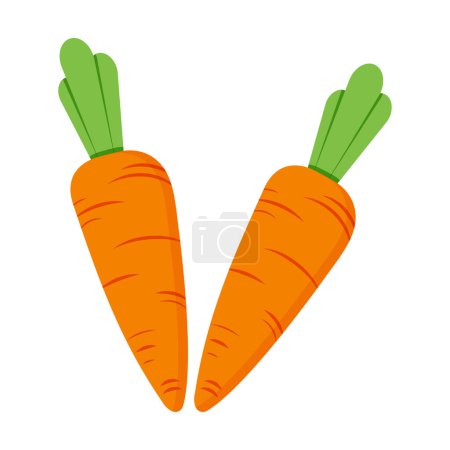 Ilustración de Ilustración de zanahoria aislada sobre fondo blanco - Imagen libre de derechos