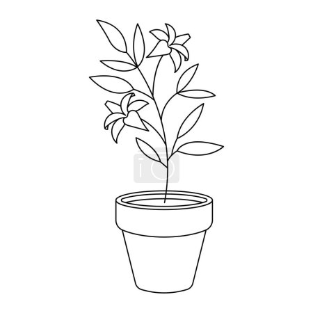 Ilustración de Planta en maceta, ilustración vectorial - Imagen libre de derechos