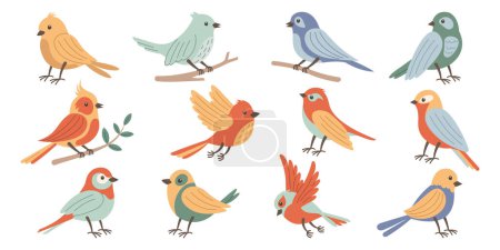 Set of spring birds. Vector cartoon in children's style. Various birds. Images isolated on white.