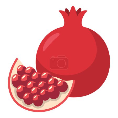 Ripe pomegranate isolated on white. Hand drawn vector illustration.