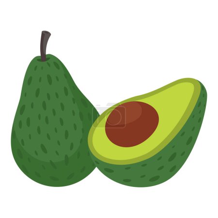 Avocado isolated on white background, vector illustration