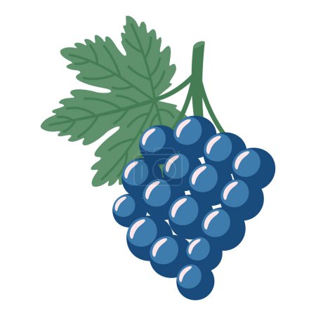 Ripe grapes isolated on a white background. Hand drawn illustration.