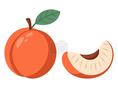 Ripe juicy peach isolated on a white background. Hand drawn illustration.