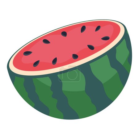 Watermelon, on white background, hand-drawn vector flat illustration