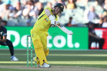 Foto de David Warner de Australia juega una oportunidad durante el partido Dettol ODI Series Australia vs Inglaterra en Adelaide Oval, Adelaide, Australia, 17 de noviembre de 2022 - Imagen libre de derechos