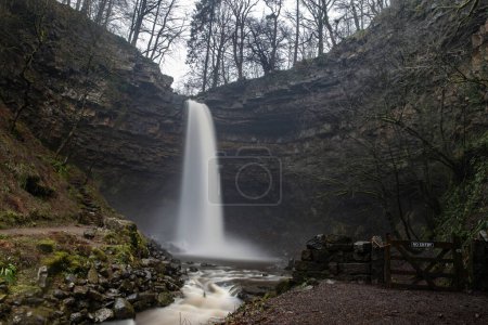Téléchargez les photos : Hardraw Force Waterfall England`s largest single drop waterfall, a reputed 100 foot drop and is set within the grounds of the historic Green Dragon Inn is in flood after a period of heavy rain at Hardraw Force Waterfall, Hardraw, United Kingdom - en image libre de droit