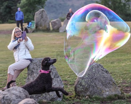 Téléchargez les photos : Un chien tente de faire éclater une bulle lors de la célébration du solstice d'été du Cercle de pierre de Castlerigg, Royaume-Uni, 20 juin 2023 - en image libre de droit