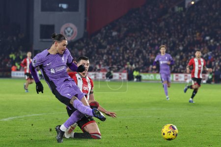 Photo for Darwin Nez #9 of Liverpool has a shot at goal during the Premier League match Sheffield United vs Liverpool at Bramall Lane, Sheffield, United Kingdom, 6th December 2023 - Royalty Free Image