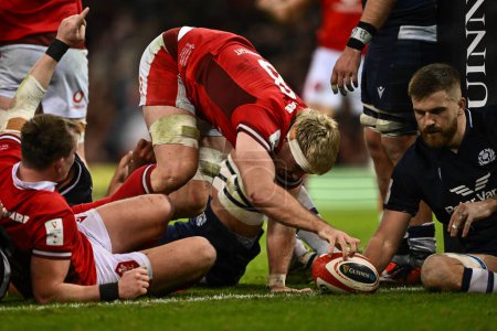 Photo for Aaron Wainwright of Wales goes over for a try during the 2024 Guinness 6 Nations match Wales vs Scotland at Principality Stadium, Cardiff, United Kingdom, 3rd February 202 - Royalty Free Image