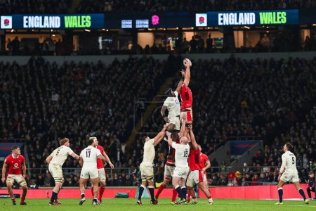 Photo for Dafydd Jenkins of Wales claims the line out during the 2024 Guinness 6 Nations match England vs Wales at Twickenham Stadium, Twickenham, United Kingdom, 10th February 202 - Royalty Free Image