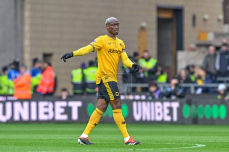 Photo for Mario Lemina of Wolverhampton Wanderers during the Premier League match Wolverhampton Wanderers vs Sheffield United at Molineux, Wolverhampton, United Kingdom, 25th February 202 - Royalty Free Image