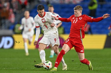 Photo for Robert Lewandowski of Poland and Jordan James of Wales battle for the ball during the UEFA Euro Qualifiers Eliminator Group A match Wales vs Poland at Cardiff City Stadium, Cardiff, United Kingdom, 26th March 202 - Royalty Free Image