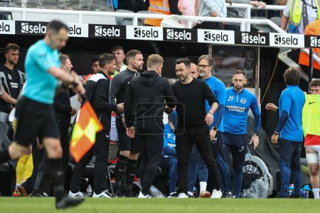 Photo for Eddie Howe manager of Newcastle United and Roberto De Zerbi manager of Brighton & Hove Albion shake hands after game during Premier League match Newcastle United vs Brighton, Hove Albion at St. James's Park, Newcastle, United Kingdom, 11th May 2024 - Royalty Free Image