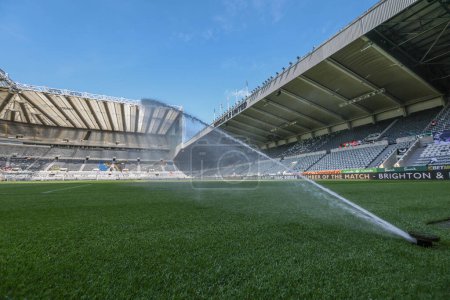 Photo for A general view of St. Jamess Park during the Premier League match Newcastle United vs Brighton and Hove Albion at St. James's Park, Newcastle, United Kingdom, 11th May 2024 - Royalty Free Image
