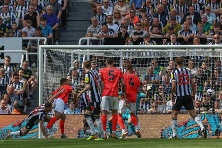 Photo for Jol Veltman of Brighton & Hove Albion scores to make it 0-1 during the Premier League match Newcastle United vs Brighton and Hove Albion at St. James's Park, Newcastle, United Kingdom, 11th May 2024 - Royalty Free Image