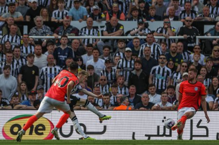 Photo for Adam Webster of Brighton & Hove Albion blocks a shot from Anthony Gordon of Newcastle United during the Premier League match Newcastle United vs Brighton and Hove Albion at St. James's Park, Newcastle, United Kingdom, 11th May 2024 - Royalty Free Image