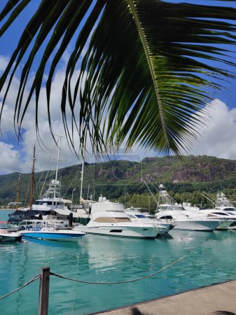 Die Eden Island Marina für Luxusyachten in Mahe, Seychellen.