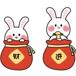 Set of cute rabbit stay in red bag with chinese language mean lucky.Chinese new year concept collection.Asian festival.Animal character cartoon design.Money.Rich.Kawaii.Vector.Illustration.