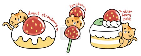 Cute cat with strawberry sweet cartoon on white background.Dessert hand drawn collections.Pet animal character design.Donut,cake,strawberry sugar.Meow lover.Kawaii.Vector.Illustration.