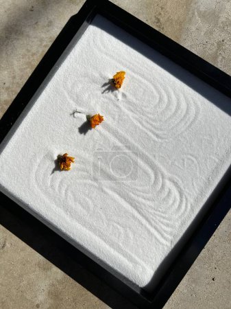 Photo for Closeup view of miniature tabletop zen garden - Royalty Free Image