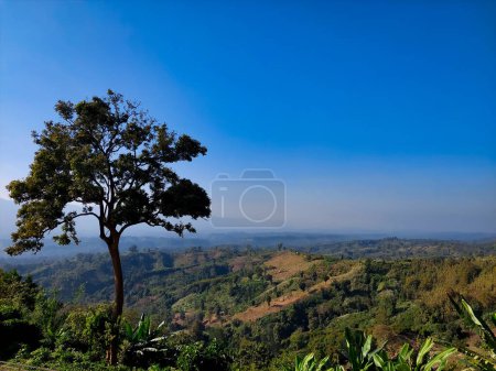 Téléchargez les photos : Vue sur la colline décor de bandarban que chi upazila - en image libre de droit