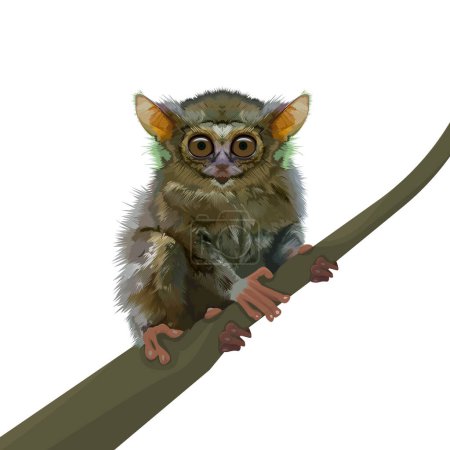 Illustration for Tersius bancanus the smallest monkey in the world - Royalty Free Image