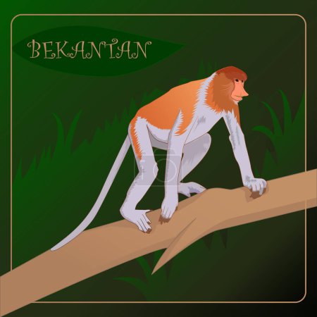 art and illustration of bekantan monkey