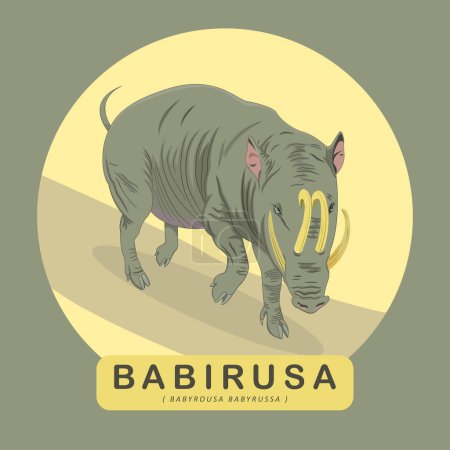 BABIRUSA ODER BABYROUSA BABYRUSSA ENDEMIC NORT SULAWESI TIERILLUSTRATION
