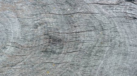 Téléchargez les photos : Vieille surface de fond de texture de bois avec vieux motif naturel ou vieille table de texture de bois, stlye classique. - en image libre de droit