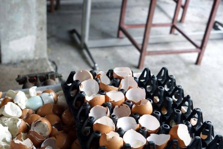 Téléchargez les photos : Beaucoup de coquilles d'œufs provenant de la cuisson dans un panneau d'œufs sur le marché alimentaire. - en image libre de droit