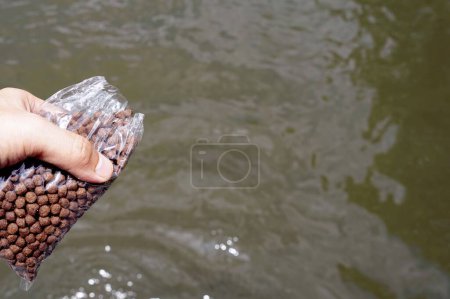 Téléchargez les photos : Main tenant un sac en plastique avec de la nourriture de poisson sec pour a donné un poisson dans l'étang. - en image libre de droit