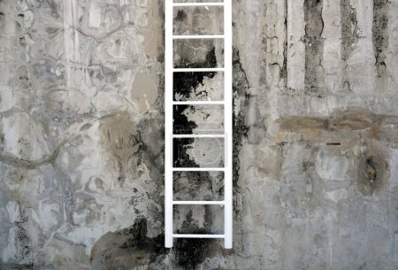 Téléchargez les photos : Échelle blanche sur un mur de ciment vintage style lichen eau texture naturelle fond naturel. - en image libre de droit