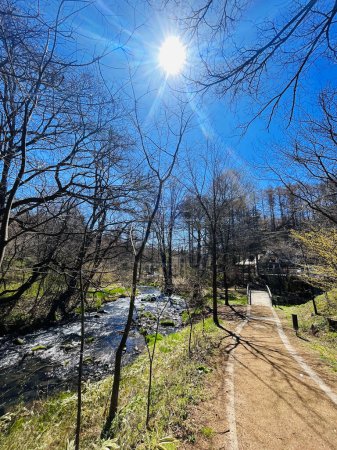 Paisaje del río y paisaje natural del parque de la zona de Hoshino de Karuizawa, Japón. con fondo de cielo azul