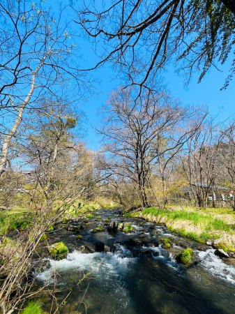 Fluss- und Parklandschaft des Hoshino-Gebiets von Karuizawa, Japan. mit blauem Himmel Hintergrund