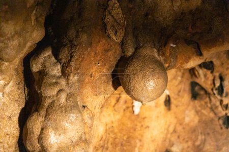 Téléchargez les photos : Formation de sosies mammaires et mamelons à partir de stalagmite et stalactite dans les grottes de Tham Nam Lod dans la province de Mae Hong Son en Thaïlande - en image libre de droit