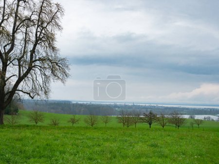 The city of Romanshorn, Switzerland, is situated directly at Lake Constance. View from green hills toowards the town and lake.