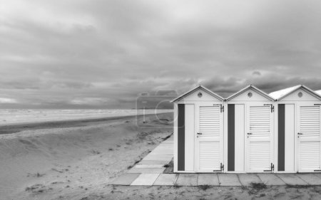 Téléchargez les photos : Plage de la mer du début du printemps, noir et blanc - en image libre de droit
