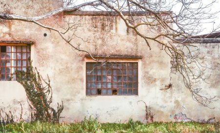 Foto de Casa en ruinas fachada con ventanas, vista exterior - Imagen libre de derechos