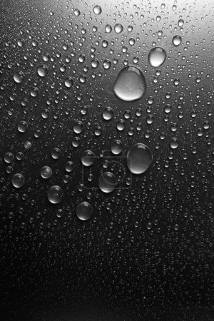 Téléchargez les photos : Gouttes d'eau sur une surface ombragée, noir et blanc - en image libre de droit