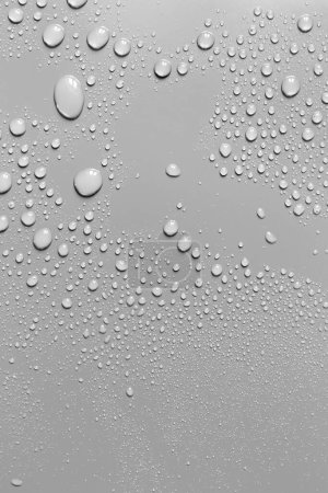 Téléchargez les photos : Surface avec gouttes d'eau, fond gris - en image libre de droit