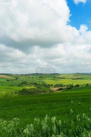 Foto de Paisaje, campos verdes en un día de primavera, cielo azul con nubes - Imagen libre de derechos