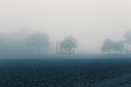Photo for Landscape in the autumn mist, fields and trees at horizon - Royalty Free Image