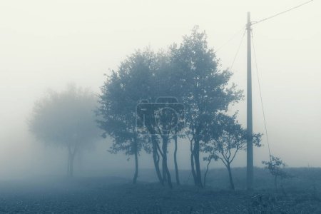 Photo for Natural landscape in autumn, trees and fields in the fog - Royalty Free Image