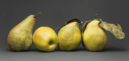Téléchargez les photos : Nature morte avec divers fruits mûrs, isolé sur gris - en image libre de droit