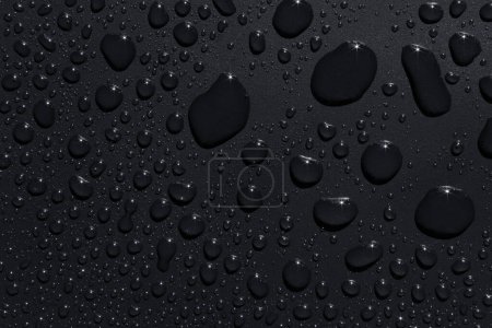Téléchargez les photos : Gros plan de gouttes de pluie noires sur une surface sombre, fond abstrait - en image libre de droit