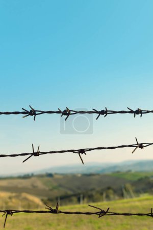Foto de Valla de alambre de púas de una granja, campos y cielo azul en el fondo - Imagen libre de derechos