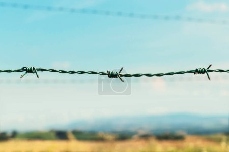 Téléchargez les photos : Clôture avec fil barbelé, champs et ciel bleu sur fond - en image libre de droit