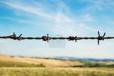 Téléchargez les photos : Clôture avec fil barbelé, champs et ciel bleu sur fond - en image libre de droit