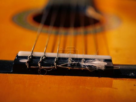 Photo for Classical guitar strings and frets close up shot selective focus - Royalty Free Image