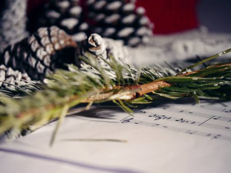 Foto de Villancicos de Navidad con conos de pino y agujas exhibición de invierno de cerca enfoque selectivo - Imagen libre de derechos